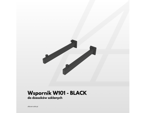 Daszek szklany na wspornikach W101 -...